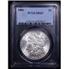 Image 4 : PCGS 1886-p Morgan Dollar $1 Graded ms63 By PCGS