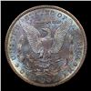 Image 3 : 1901-o Morgan Dollar $1 Grades GEM+ Unc
