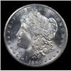 Image 2 : ***Auction Highlight*** NGC 1884-cc Morgan Dollar GSA Hoard $1 Graded ms63 pl By NGC (fc)