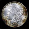Image 2 : 1885-o Morgan Dollar $1 Grades GEM+ Unc