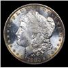 Image 2 : 1880-s Morgan Dollar $1 Graded ms64+ dmpl By SEGS