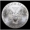 Image 3 : 2017 Silver Eagle Dollar $1 Graded ms69+ By SEGS