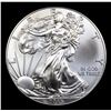 Image 2 : 2015 Silver Eagle Dollar $1 Graded ms69+ By SEGS