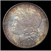 Image 2 : 1881-p Morgan Dollar $1 Graded ms64+ By SEGS