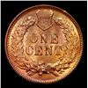 Image 3 : 1896 Indian Cent 1c Graded ms64 rd By SEGS