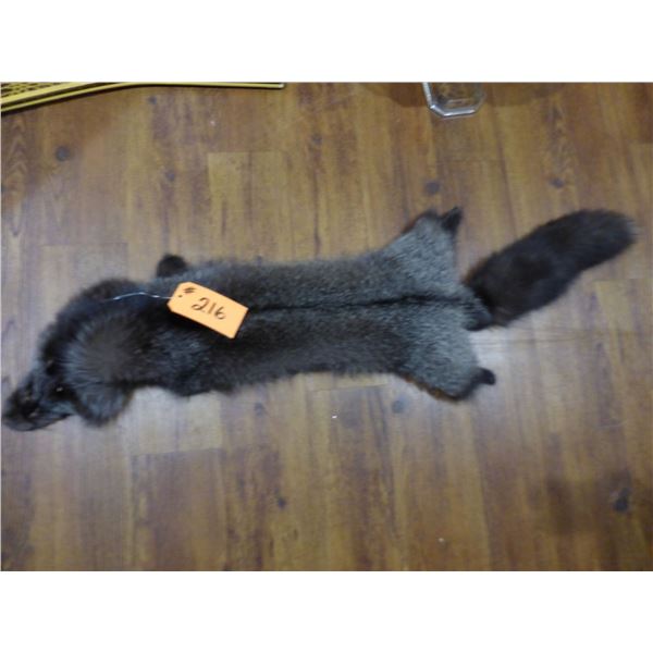 Silver fox pelt