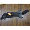 Image 1 : Silver fox pelt