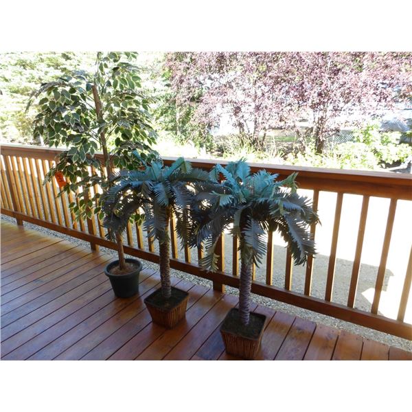 plastic Ficus tree, 2- plastic palm trees