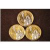 Image 2 : 3 GOLD & SILVER COLORIZED BU PRESIDENTIAL DOLLARS.