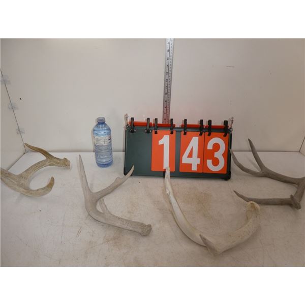 Naturally Shed antlers