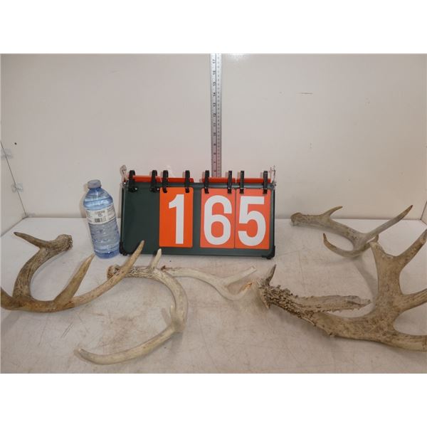 Naturally Shed antlers