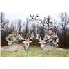 Image 2 : Ohio 3-Day Whitetail Deer Hunt For Two Hunters
