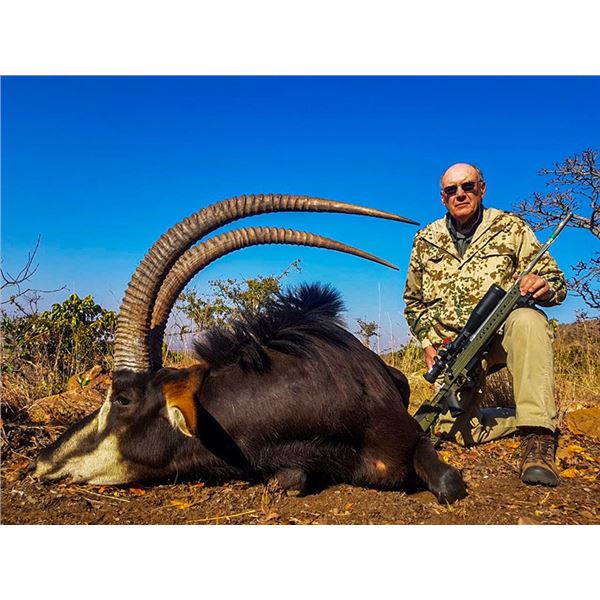 South Africa 7-Day Safari for One Hunter Including $3K Credit Towards Sable Bull or Roan Antelope