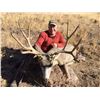Image 1 : Oregon 5-Day Mule Deer Hunt for Two Hunters