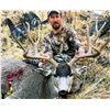 Image 2 : Oregon 5-Day Mule Deer Hunt for Two Hunters