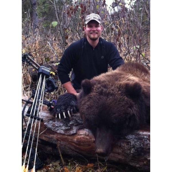 Alaska Brown Bear Special Permit Chugach State Park (SB470)