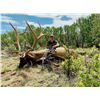 Image 1 : New Mexico 5-Day Archery Elk, Mule Deer & Black Bear Combo Hunt for Two Hunters