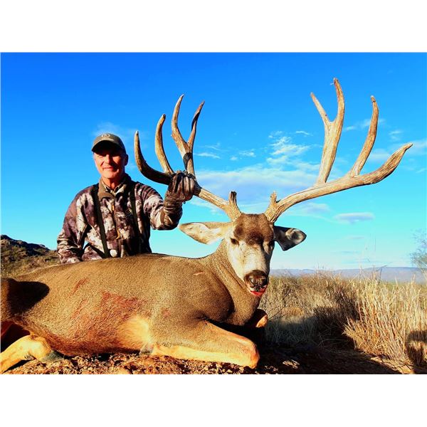 Mexico 5-Day Monster Mule Deer Hunt for One Hunter