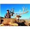 Image 1 : Mexico 5-Day Monster Mule Deer Hunt for One Hunter