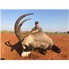 Image 1 : South Africa 6-Day Roan Antelope Hunt for Two Hunters