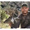 Image 2 : Arizona 5-Day Coues Deer, Whitetail Deer, Mountain Lion Hunt for Two Hunters