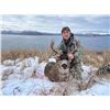 Image 2 : Kodiak Island 7-Day Sitka Blacktail Deer Hunt for Four Hunters