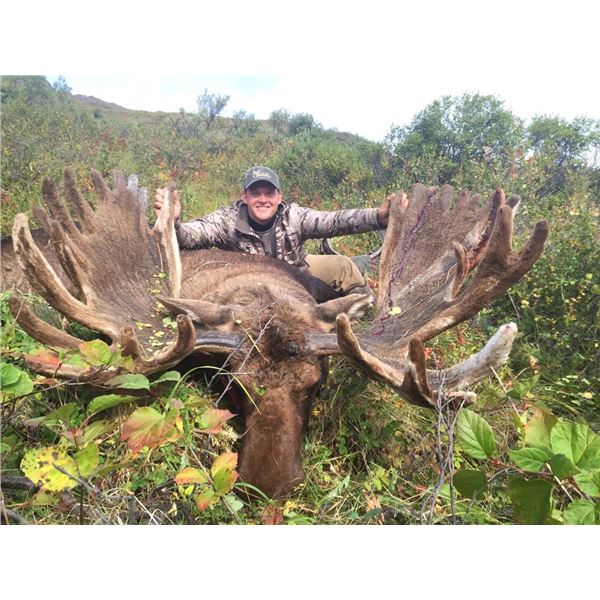 Alaska 10-Day Moose, Black Bear and Wolf Combo Hunt For One Hunter