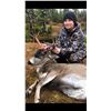 Image 2 : Alaska 5-Day Sitka Blacktail Deer and Sea Duck Combo Hunt for Six Hunters