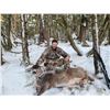 Image 5 : Alaska 5-Day Sitka Blacktail Deer and Sea Duck Combo Hunt for Six Hunters