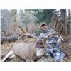 Image 1 : New Mexico 5-Day Rifle Mule Deer Hunt for Two Hunters