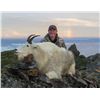 Image 2 : Alaska Chugach Mountain Goat Special Permit (SG800)