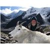Image 3 : Alaska Chugach Mountain Goat Special Permit (SG800)