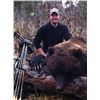 Image 1 : Alaska Archery Brown Bear Special Permit GMU 14C Eklutna Lake Management Area (SB468)
