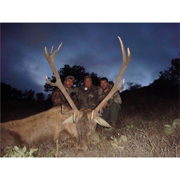 Spain 3-Day Mouflon Sheep or Red Stag Hunt for One Hunter and One Observer