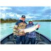 Image 5 : Alaska 6-Night/3-Day Fishing Charter Trip for Four Anglers