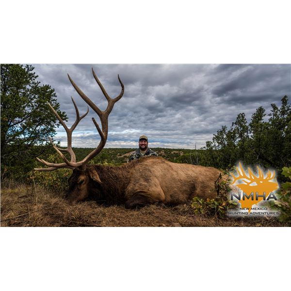 New Mexico Rifle or Muzzleloader Elk and Black Bear Combo Hunt for Two Hunters