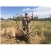 Image 2 : New Mexico Rifle or Muzzleloader Elk and Black Bear Combo Hunt for Two Hunters