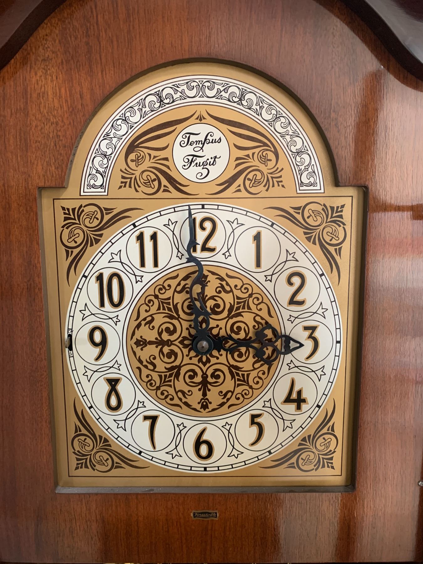 1930s Forestville Grandfather Clock with "Tempus Fugit" Clock Dial