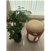 Image 1 : 2 x Potted Live Plants and Upholstered Bamboo-Style Stool