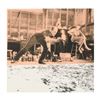 Image 1 : Jackson Pollock at Work by "Ringo" Daniel Funes