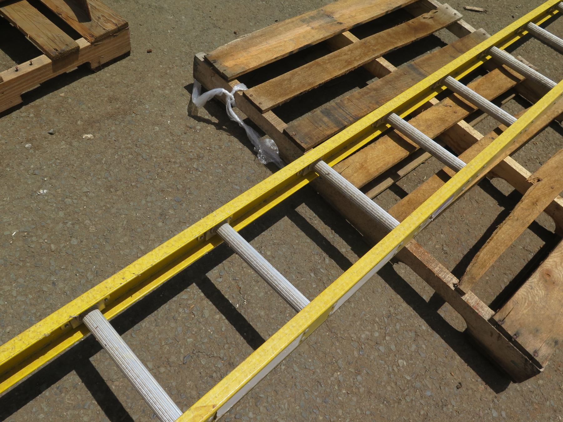 Tall 14 Rung Step Ladder