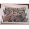 Image 2 : Mountain Lion framed print - Paul Rankin 1647/3750