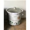 Image 1 : Crockpot Used For Heating Chemicals