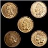 Image 1 : (5) Indian Head Cents UNCIRCULATED