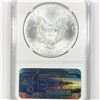 Image 2 : 2013-W Silver Eagle NGC-MS70 Early Releases