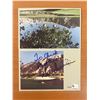 Image 1 : Hale Irwin signed photo - Global Authenticated