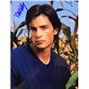 Image 1 : Tom Welling signed photo
