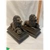 Image 1 : Lion decor