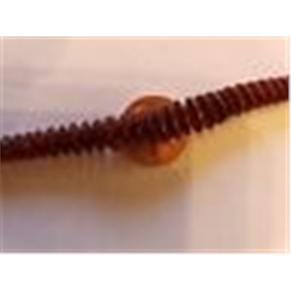 Amber beads carved by Ron Upshaw. 2nd photo