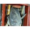 Image 3 : Box with trowels